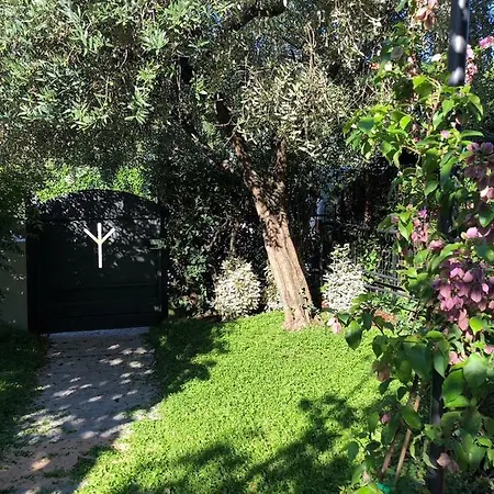 Casa Dell'ulivo *